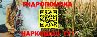 гашик Бузулук