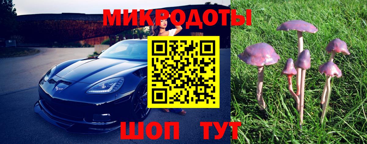 Галлюциногенные грибы мухоморы  Вход с VPN  Шатура  Галлюциногенные грибы Psilocybe 
